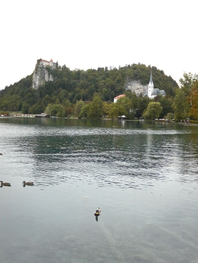 ブレッド湖にはお城(ブレッド城)と教会がある。<br />城は画像の左側の崖のようなところに建っている方で陸地側にあるので歩いて行く事ができる。<br />教会は湖に浮かぶスロヴェニア唯一の島にあるので船でしか行く事ができない。<br />この教会は日本語では「聖母被昇天教会」と言う。