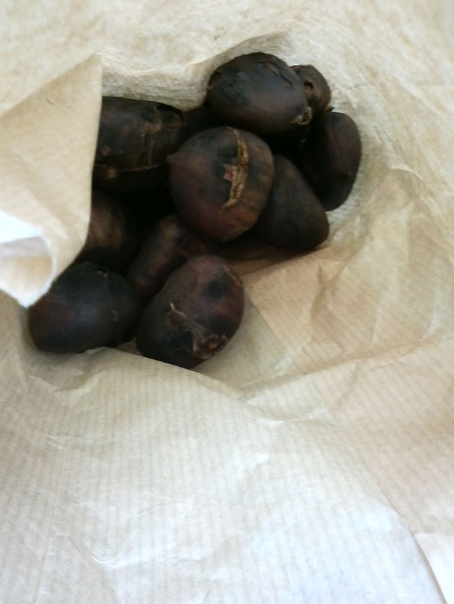 栗は大粒で日本の山栗（？）の１．２倍くらいの大きさです。