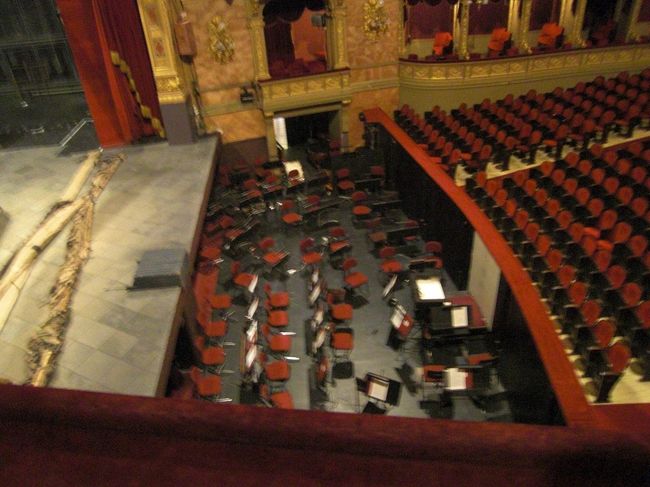 オケピ<br />チューニングしている弦の方がいらっしゃいました。