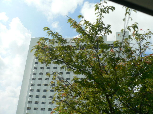 最終日のホテルは首里城横の「日航グランドキャッスル」<br /><br />マイレージ欲しさの為に宿泊