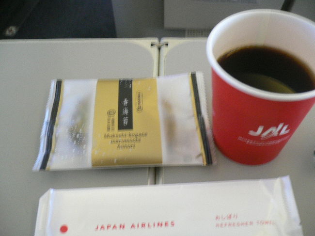 行きと同じものでした。