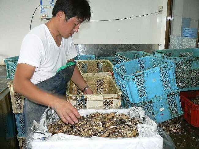 夏だけ北海道 牡蠣直売所 厚岸 霧多布 北海道 の旅行記 ブログ By 洋子さん フォートラベル