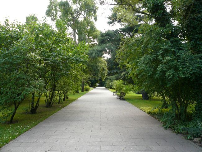 入り口からまっすぐここをのんびり歩いていった先に･･･