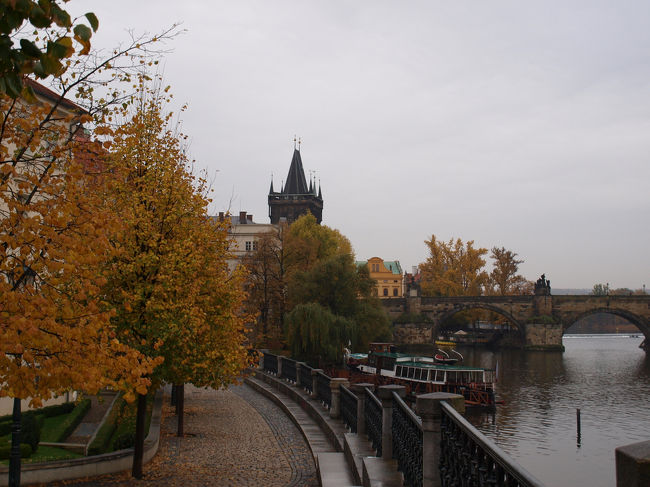 カレル橋を目指して川沿いを歩きました。<br />秋らしく色づいた木々。