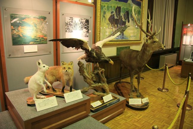 ユキウサギ、キタキツネ、大鷲、エゾシカがお出迎え。<br /><br />静まり返った中、ばったり出くわしてビビリました。。。