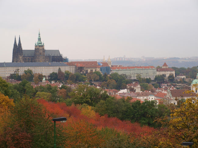 丘の上から見たプラハ城