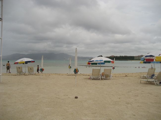 真ん中にぽつっと、さっきのヤドカリ。<br /><br />少しずつ海に向かって？？移動しているみたいです。