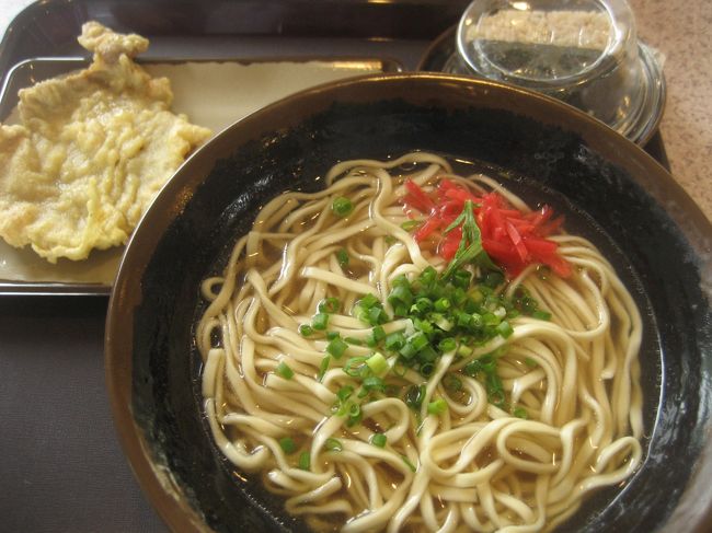 お腹がすいたので、『かりゆしビーチそば』にて昼食<br /><br />沖縄そば<br />豚ロース天ぷら　<br />ジューシーおにぎり<br /><br />カラダが冷えていたので、そばで温まりました〜<br />豚ロースの天ぷらは、オススメです。揚げたてだったら一層美味しいだろうな〜。