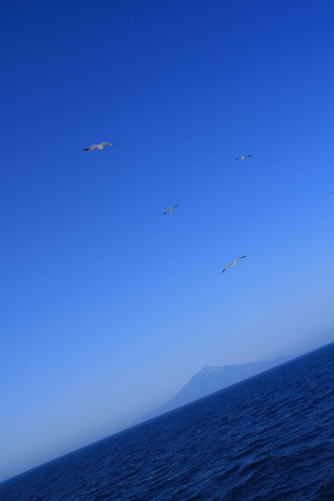 7月3日、朝6:20稚内港発のフェリーへレンタカーで乗り込み礼文島へ向かいました。礼文島香深港8:15着。とってもいいお天気です、利尻富士が綺麗！