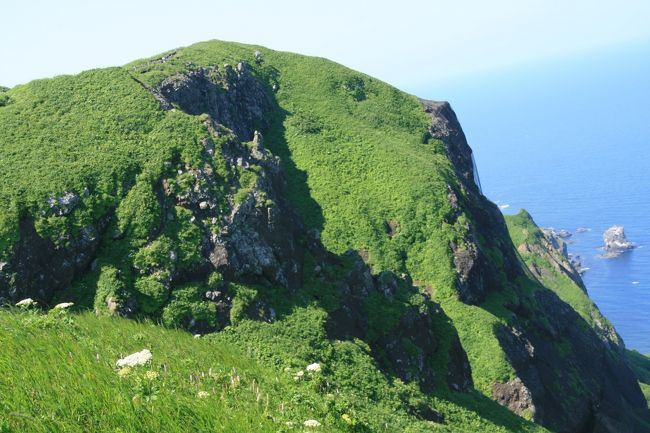 迫力〜！なかなか内地では見られない光景かも。