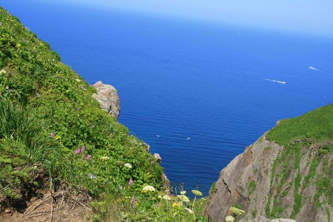 船が行き交ってます。