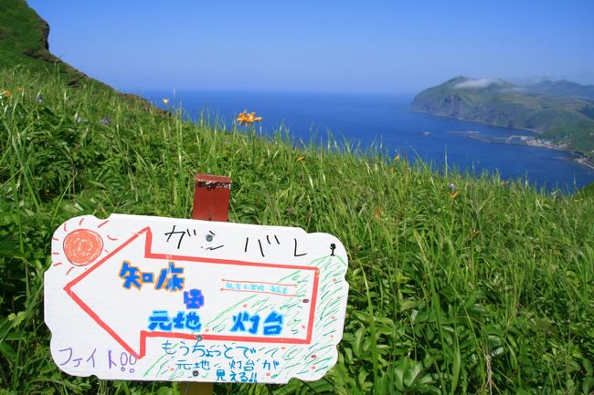 こんな看板がありました、元気が出てきたゾ！<br />