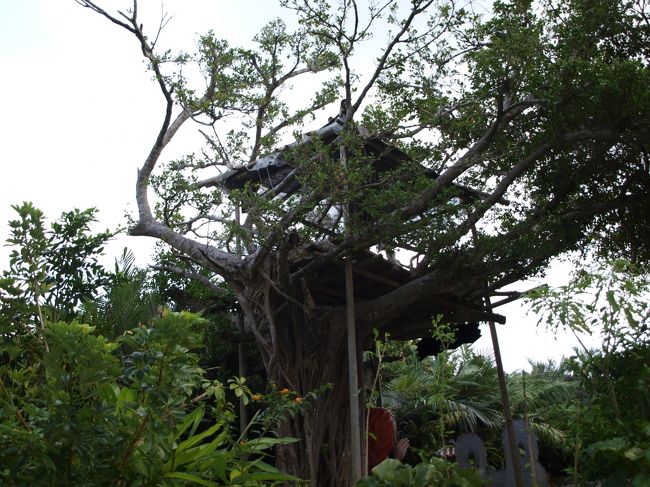 キジムナーの家