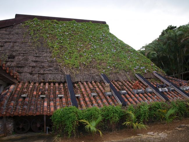 シーサー勢ぞろい