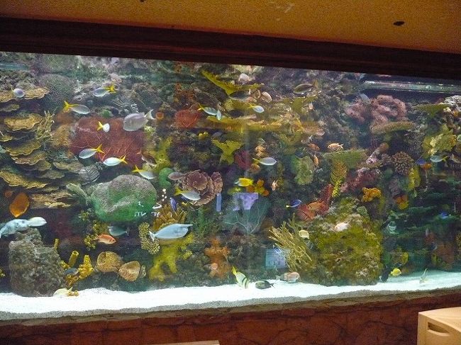 仕方がないので、ホテル、カジノないを一周したあと、ロビーの熱帯魚を観察しました。<br />