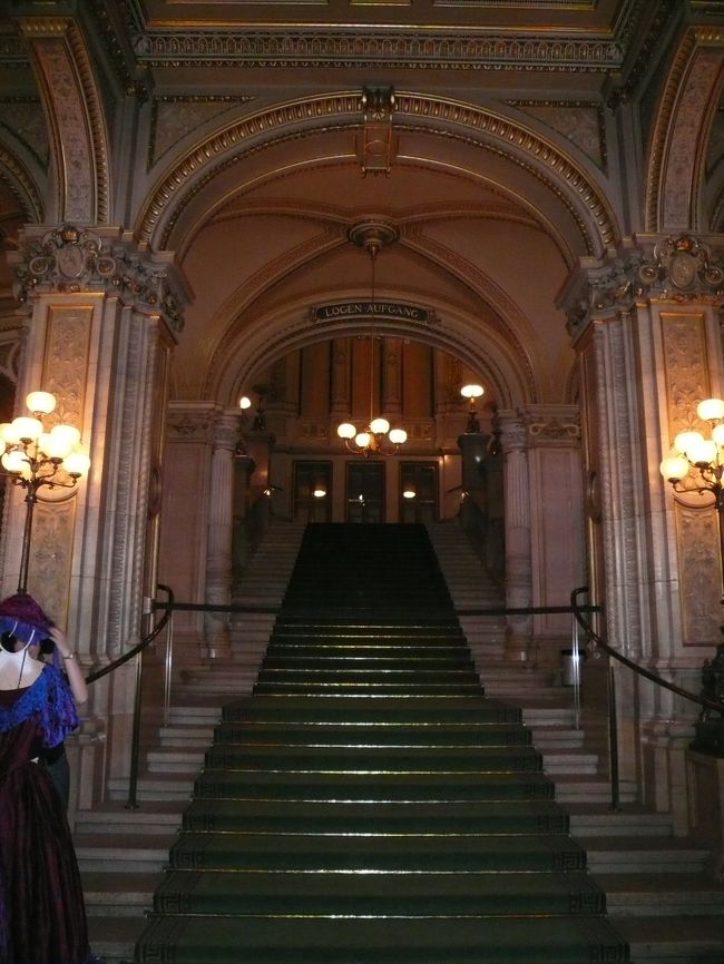 その代わりに<br />中をツアーで見学することができる。<br />正面の階段。<br />ここからおしゃれしてドレスアップして<br />みんな入っていくのだ。<br />オペラ座の大きなスポンサーは<br />日本トヨタのレクサスでした。<br />レクサスマークがところどころにありました。