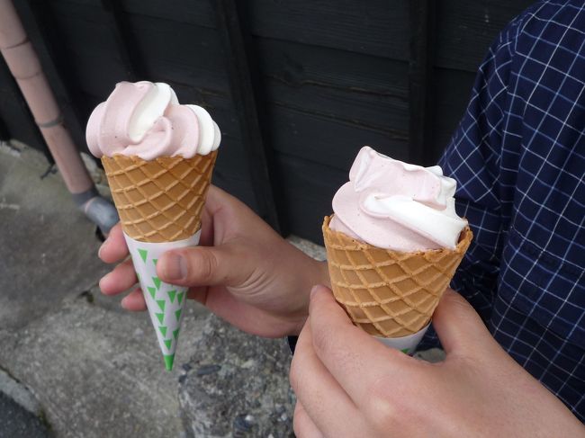 予想外にお参りするのに時間がかかっちゃいました。<br />本当はおはらい町・おかげ横丁を散策しようと思っていたのですが、列車の時間もあるので、入口のあたりをウロウロ。<br /><br />結構暑かったのでソフトクリームでも食べようということで、珍しい小豆ソフトクリームが売っていたのでバニラとのミックスを購入。<br /><br />写真は一口食べちゃったけど、こらがなかなか美味しかったです♪