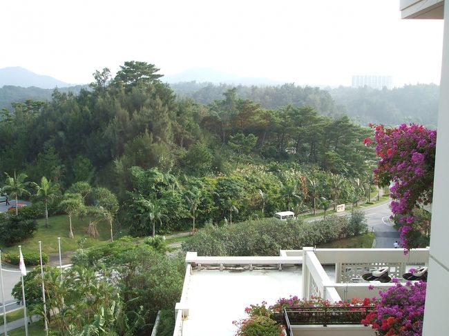 部屋は角部屋<br />ベランダの横の窓からの景色