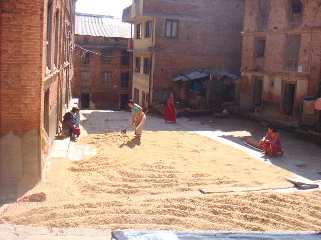 バザールをぶらぶら。やっぱり女性は働く働く。