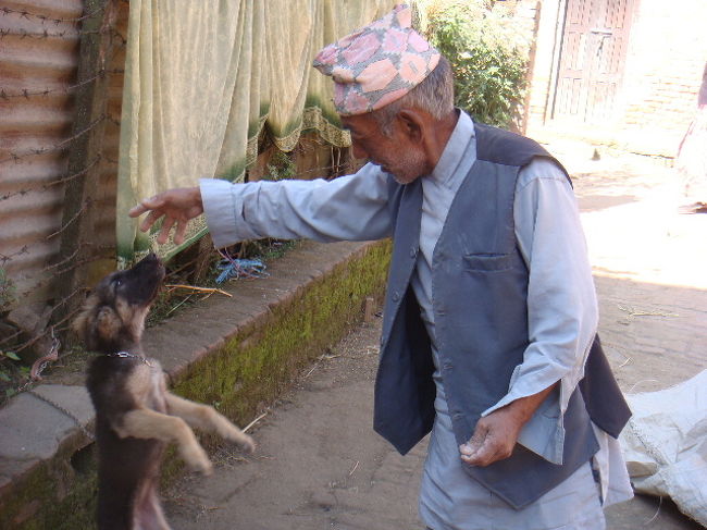 そして犬と遊ぶおじいちゃん（笑）