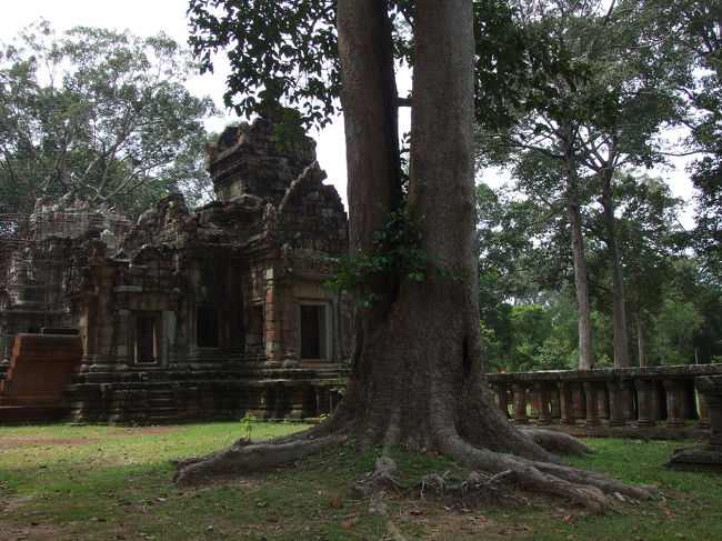 多分、ここはバプーオンかな。<br />長い空中参堂が続いています。