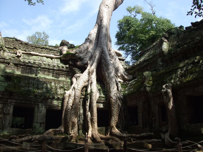 ここはタ･プロームですね。<br />これは間違いないです。<br />軽く迷子になりかけました（；；）