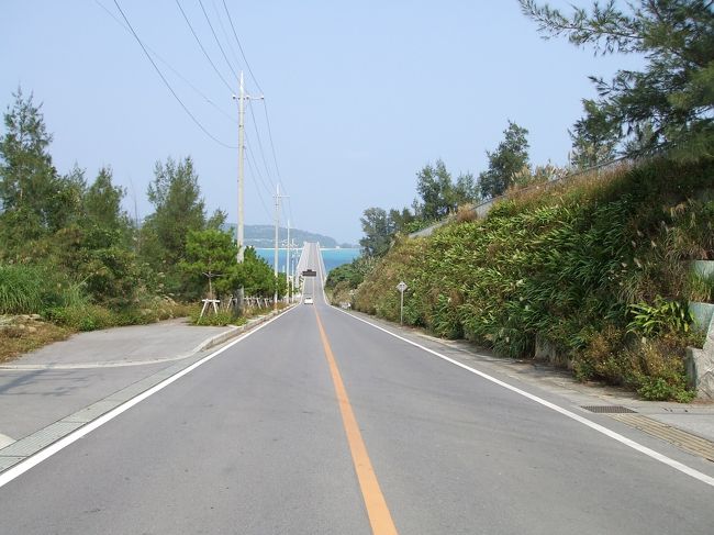 遠くに見えるのが古宇利大橋です