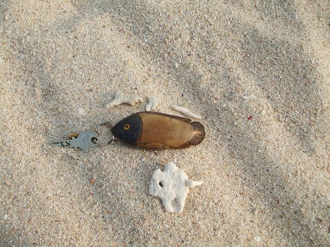 ブセナの部屋カギ<br />魚のかたちがカワイイ