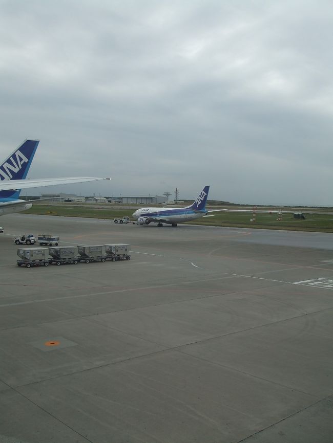 羽田空港<br />朝の空港は飛行機ラッシュ