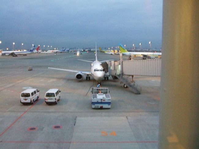 羽田発沖縄行き<br />朝１番の飛行機…なんだか小さい…怖いかも