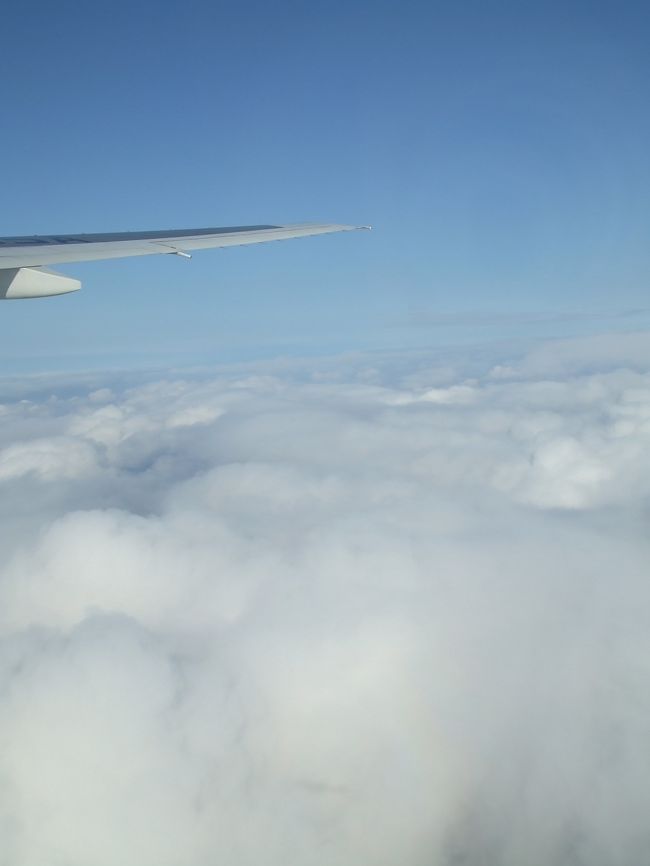 帰りの飛行機から〜