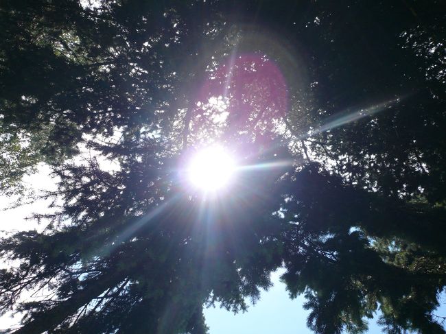 寝転がってぼーっとしていました。<br />高い空から光る太陽はまぶしかった。