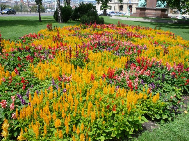 こんな一角も。