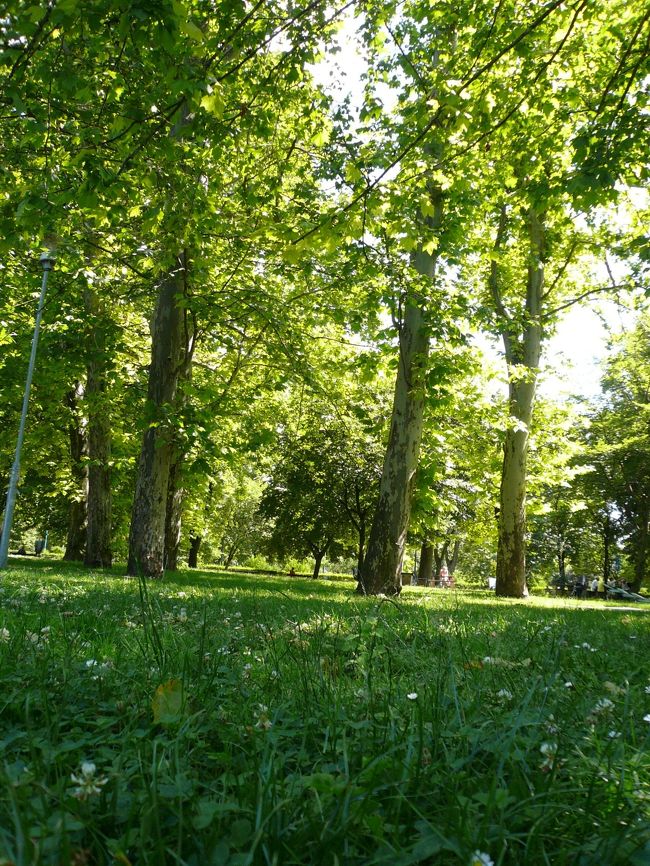 気づいたら顔を丸出しで<br />かばんを抱きしめ<br />昼寝していました。<br />アブナイヾ(*｀Д´*)ﾉ"彡ｺ！！<br />無用心な日本人。お恥ずかしい。