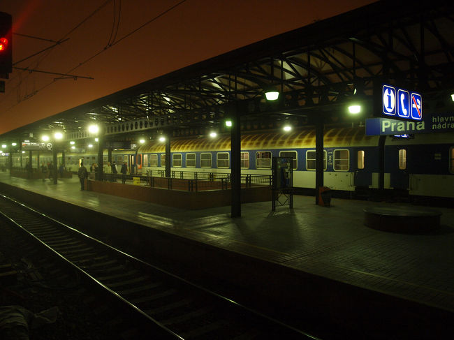 いよいよ出発です。<br />靄が出てきました。