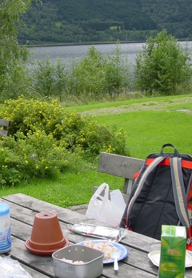 町外れでお昼にしました。<br />ばらずし。