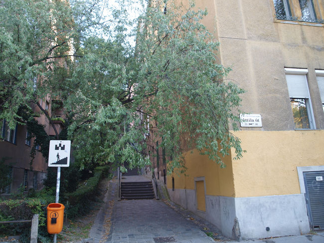 ホテルの前からトラムに乗って王宮の近くまでやってきました。この階段を上がっていったところが王宮の丘一帯です。