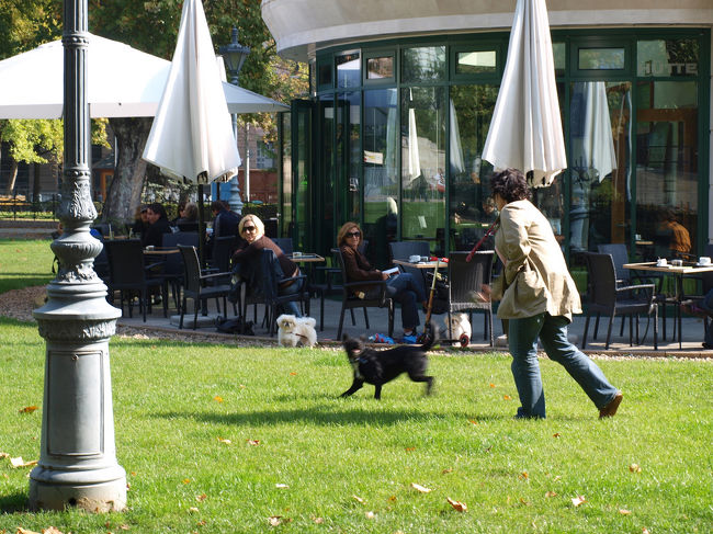 のんびりとした雰囲気