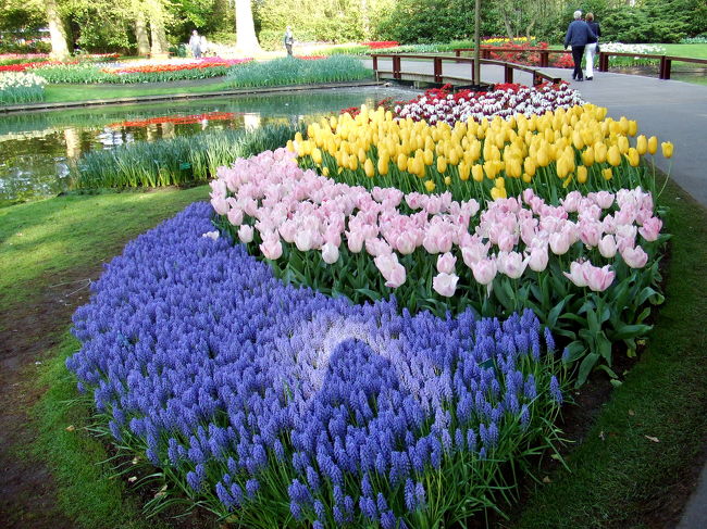 花の背丈も計算されてますね〜。