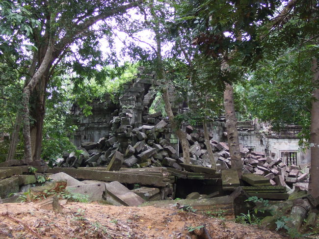 途中のチェックポイントで入場料5$を支払って入ります。<br />ベンメリア。朽ち掛けているカンジがなかなか見ごたえありました。<br />『天空の城ラピュタ』みたいってみんな言うそうです。<br />でも、その通りかも。