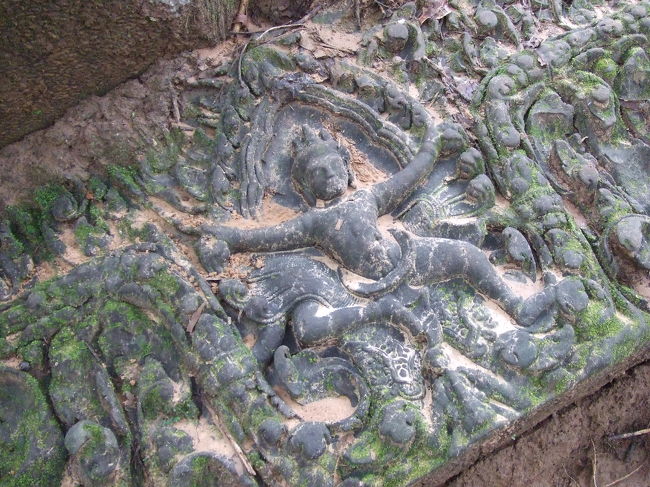 こんな物もそのへんに倒れています。