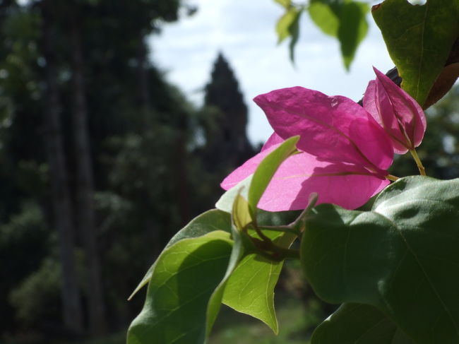 バコン。<br />ここは他の二つに比べると立派で、花がたくさん咲いていて、なんだかキレイでした。