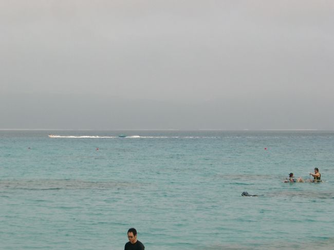 本読んだり寝たりしてました