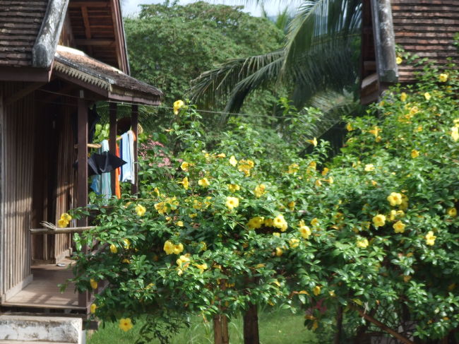 窓から外を見ると、向こうにお坊さんの住居がありました。