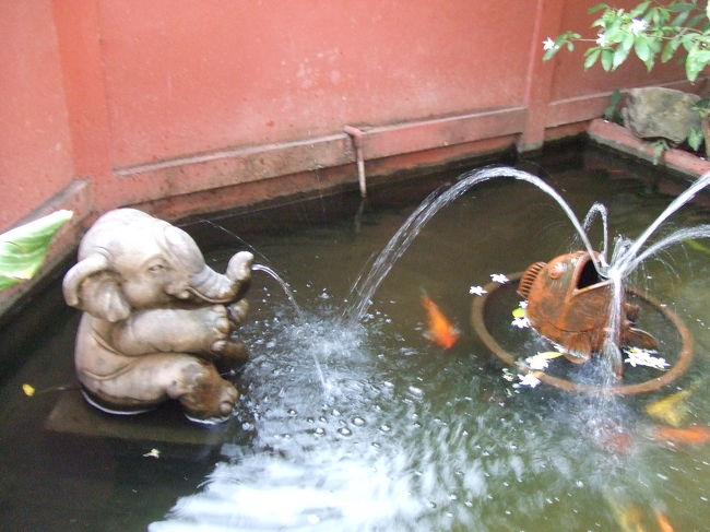 私はもう残念ながら時間が無いので、その日のうちにバンコクへ向うことに〜（ＴＴ）<br />このＧＨもツアーデスクがあったので、そのままバンコク行きバスチケット(300B)を購入。2人ともチェンマイに数日滞在するそうなので、ここでお別れです。近くのＡＴＭでタイバーツを降ろしてＧＨで時間まで待機です。<br /><br />そんで18時、またソンテウでバスターミナルへ連れて行かれました。