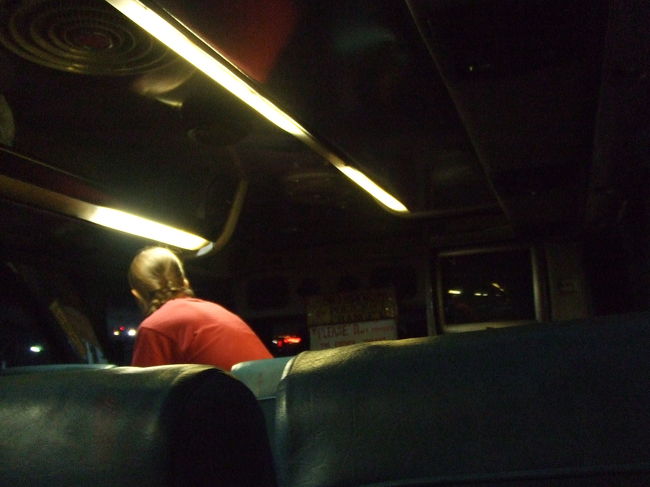 夜行だけあって、車内は暗目です。<br />出発してしばらくすると、ほぼ真っ暗になりました。<br />今回も隣の席は誰も乗ってこなかったので、横になって寝ることが出来ました〜♪<br />でもちょっとクーラー効き過ぎなのか寒いっす。。。<br /><br />夜中に一度休憩タイムがあり、お腹減ってたのでカボチャカレー（辛目）を食べちゃいました☆<br /><br />朝6時くらい、バンコクに到着です。<br />降ろされたのは、"Sawadee Khaosan inn"の目の前。