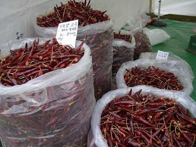 唐辛子<br /><br /><br />コレは唐辛子の山盛りです。<br />さすがに韓国、これだけの唐辛子を消費できるんですね〜＾＾；