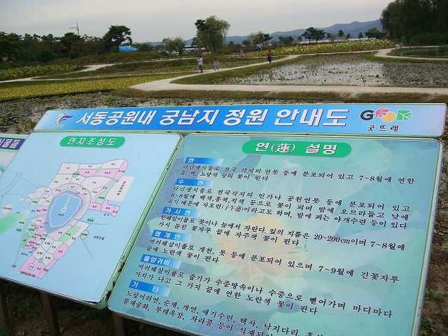 史跡第135号<br /><br /><br />宮南池（クンナムジ）は扶余（プヨ／buyeo）の南に1kmくらいのところにある人工池で韓国史跡第135号に登録されています。<br />駐車場に車を停めて池のある方に歩いていきます。