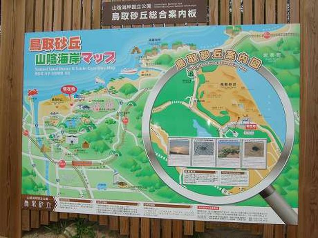 鳥取県 3大砂丘 鳥取砂丘へ 2008 鳥取市 鳥取県 の旅行記 ブログ By コッピー さん フォートラベル 鳥取県 3大砂丘 鳥取砂丘へ 2008 鳥取市 鳥取県 の旅行記 ブログ By コッピー さん フォートラベル