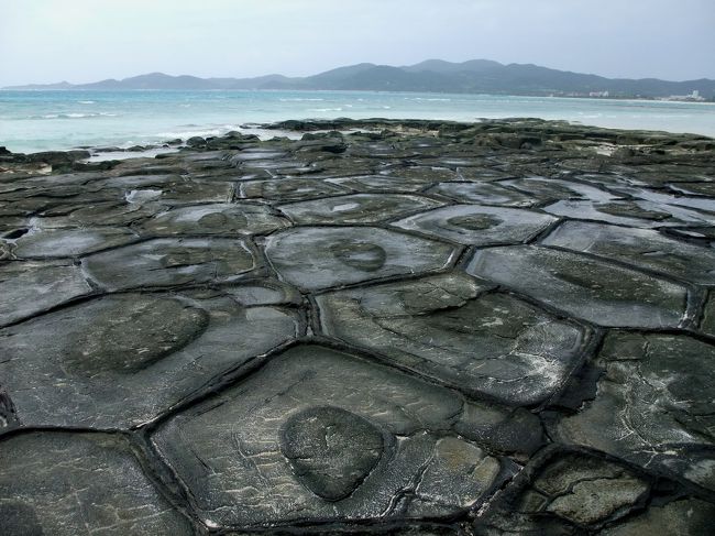 沖縄の天然記念物<br />溶岩が固まっていつしか亀の甲羅のように自然に形成されたというから驚きです。<br />一つの石が直径１?強あり、結構大きく千個以上重なりあっているそうです。